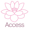 icon-access